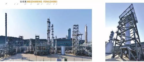 四川美豐一項(xiàng)關(guān)鍵化工工藝通過科技成果鑒定，引領(lǐng)行業(yè)綠色高效發(fā)展