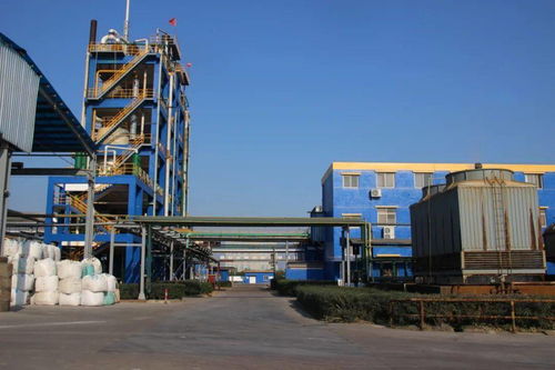 科技引領 創新驅動 以省第十五次黨代會精神為指引，推進化工技術升級與高質量發展